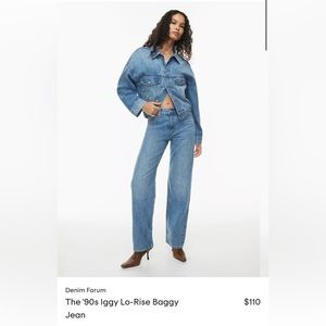 Aritzia Denim Forum The '90s Iggy Lo-Rise Baggy Jean